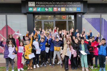 PRIPREMAMO NOVU IZLOŽBU U GALERIJI PRIRODNJAČKOG MUZEJA