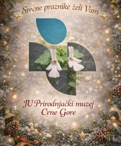 SREĆNI PRAZNICI! HAPPY HOLIDAYS!