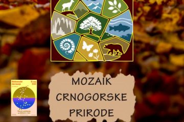 „MOZAIK CRNOGORSKE PRIRODE“ – NOVA IZLOŽBA PRIRODNJAČKOG MUZEJA