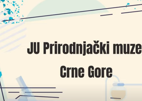 RADIONICE ODRŽANE TOKOM NOĆI ISTRAŽIVAČA 2021.