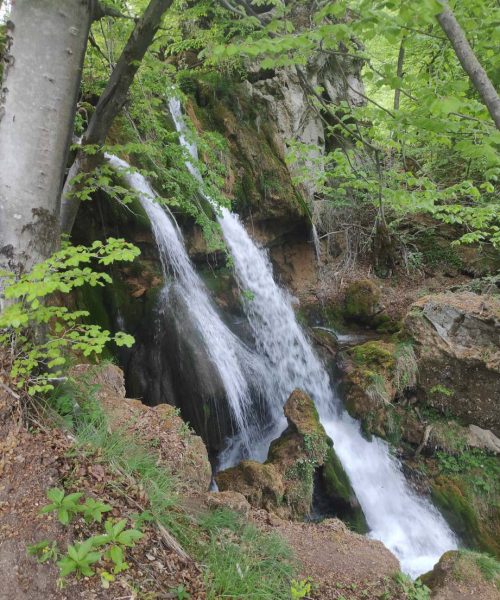 Svakog prvog ponedeljka u oktobru obilježava se Svjetski dan staništa