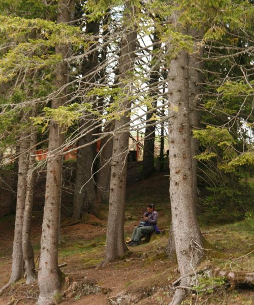 JOŠ JEDNA BRIOLOŠKA PRIČA SA DURMITORA