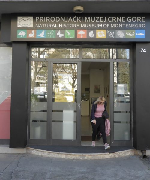 GALERIJA PRIRODNJAČKOG MUZEJA NASTAVLJA SA RADOM 22. AVGUSTA