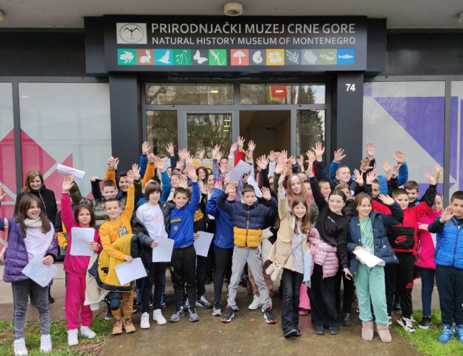 PRIPREMAMO NOVU IZLOŽBU U GALERIJI PRIRODNJAČKOG MUZEJA
