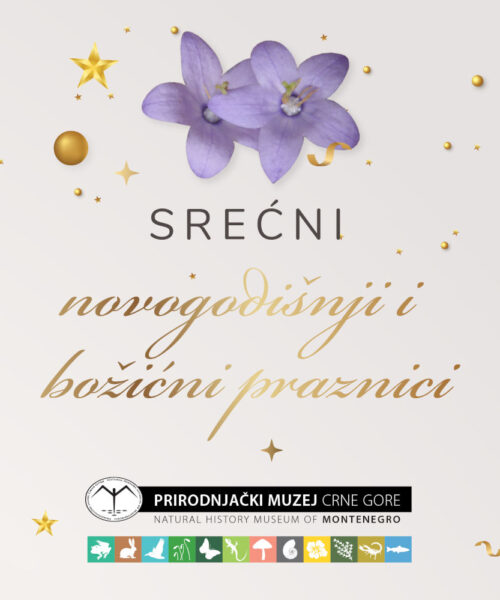 SREĆNI NOVOGODIŠNJI I BOŽIĆNI PRAZNICI