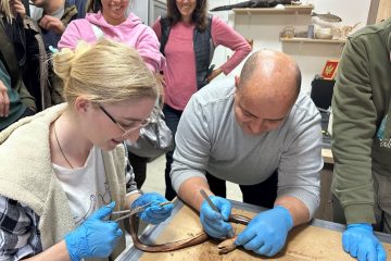 Učenje kroz praksu: edukativno iskustvo master studenata biologije u Prirodnjačkom muzeju