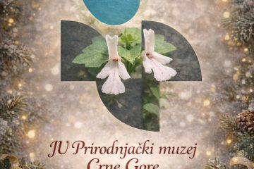 SREĆNI PRAZNICI! HAPPY HOLIDAYS!