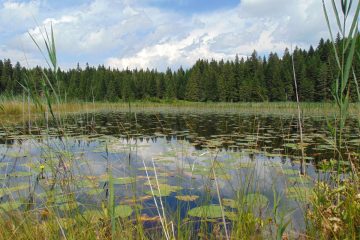 Naša snaga, naša planeta -22. april, Međunarodni dan planete Zemlje