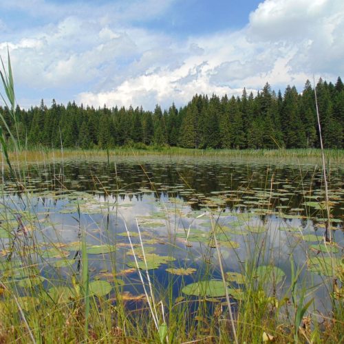 Naša snaga, naša planeta -22. april, Međunarodni dan planete Zemlje