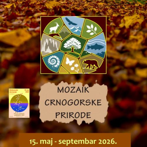 „MOZAIK CRNOGORSKE PRIRODE“ – NOVA IZLOŽBA PRIRODNJAČKOG MUZEJA