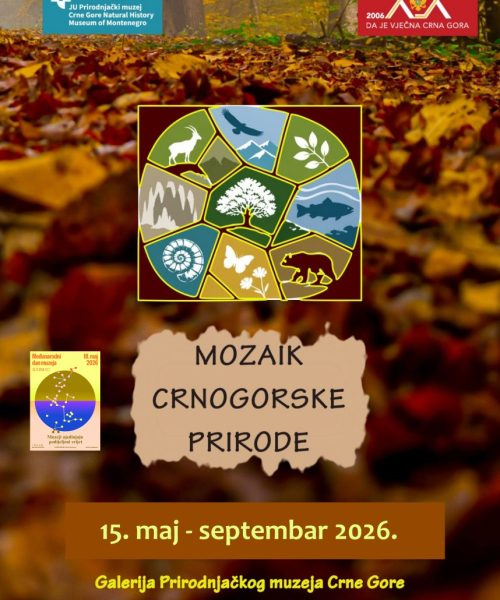 „MOZAIK CRNOGORSKE PRIRODE“ – NOVA IZLOŽBA PRIRODNJAČKOG MUZEJA