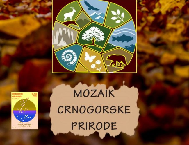 „MOZAIK CRNOGORSKE PRIRODE“ – NOVA IZLOŽBA PRIRODNJAČKOG MUZEJA