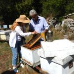 Autorka izložbe sa pčelarom